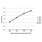 Purified human IgG1, IgG2, IgG3, and IgG4