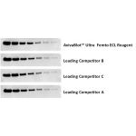 AvivaBlot™ Ultra Femto Comparison