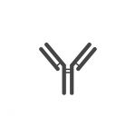 Goat Anti-Rabbit IgG Antibody: HRP (ASP00001)