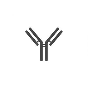 PSA Antibody Total (OAMA02367)