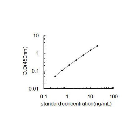 NTN1 ELISA Standard Curve