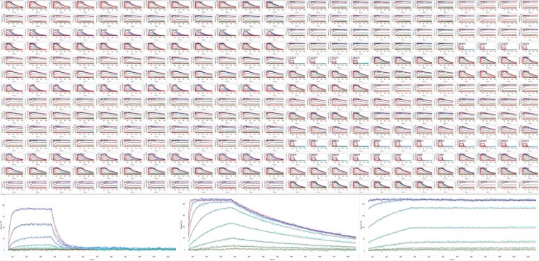 Screening & Kinetics